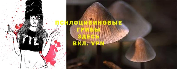 бутират Краснослободск